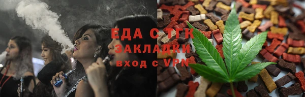 молекула духа Вяземский